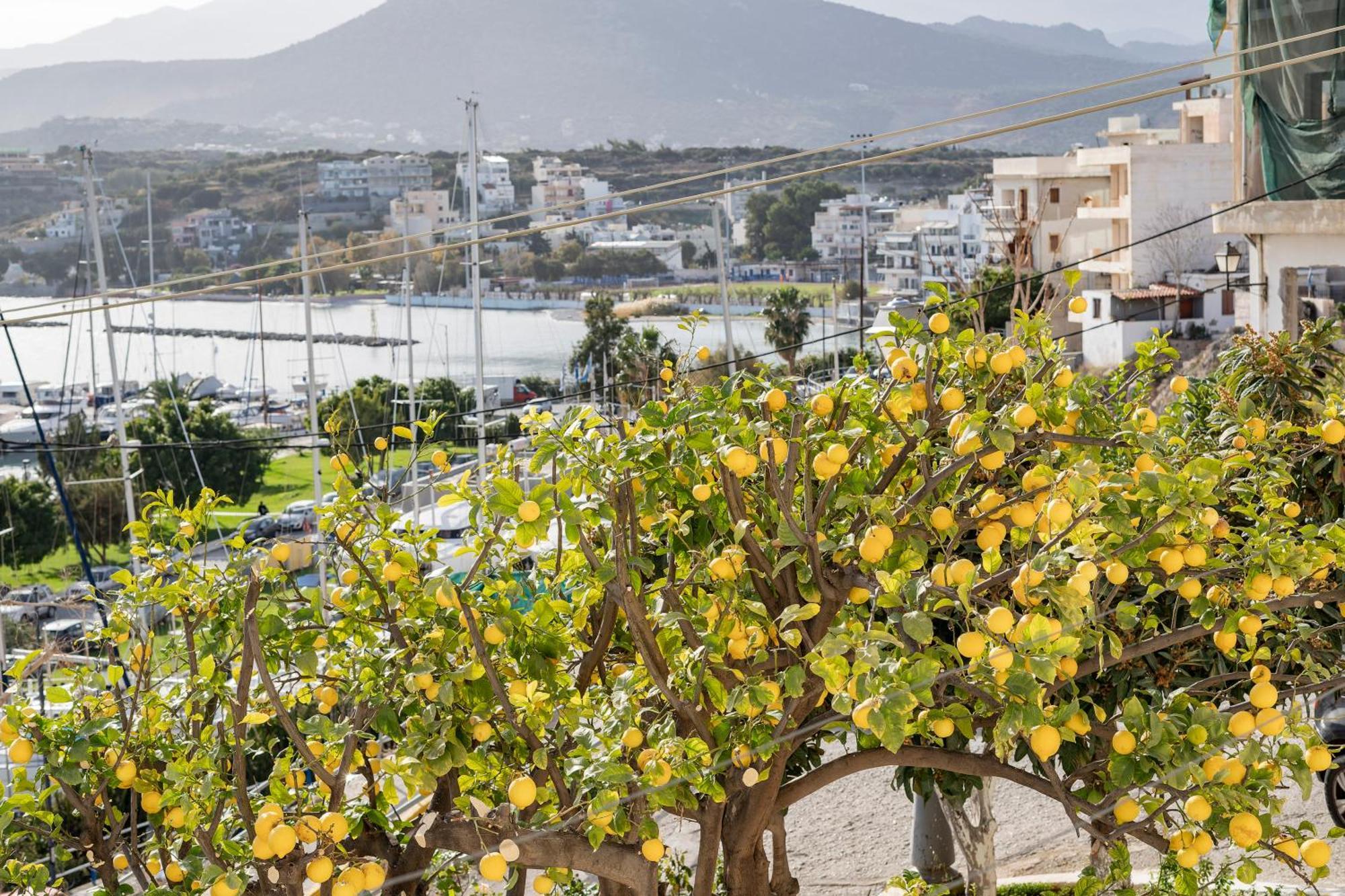 Jelena Apartments By The Sea Agios Nikolaos  Ngoại thất bức ảnh